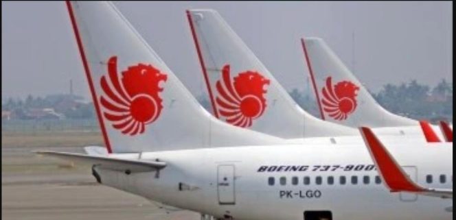 
					Pesawat lion air. Foto: lion air.co.id