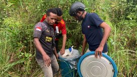 Penggerebekan lokasi produksi miras Kaki Anjing di Mappi terbongkar. Foto: Humas Polda Papua