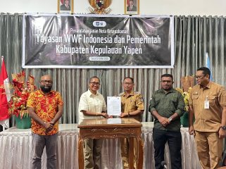 Penandatanganan Nota Kesepahaman antara WWF Indonesia Program Papua dan Pemerintah Kabupaten Kepulauan Yapen di Ruang Rapat Sekda,  Foto: Ainun Faathirjal/KabarPapua.co