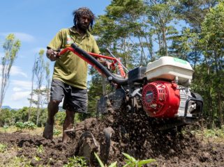 Petani di Papua sedang menggarap lahan pertaniannya. (Foto dok: BI Perwakilan Provinsi Papua)