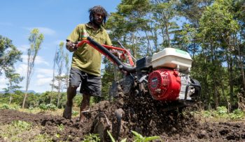 Petani di Papua sedang menggarap lahan pertaniannya. (Foto dok: BI Perwakilan Provinsi Papua)