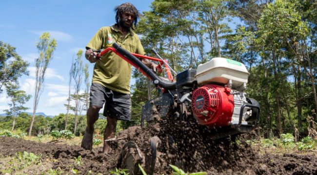 Petani di Papua sedang menggarap lahan pertaniannya. (Foto dok: BI Perwakilan Provinsi Papua)