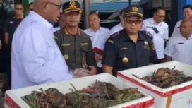 Pelepasan ekspor Kepiting Bakau di Timika. Foto: ist