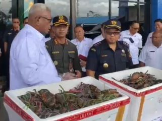 Pelepasan ekspor Kepiting Bakau di Timika. Foto: ist