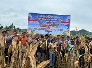Petani Nabire-Polda Papua panen raya jagung kuartal II 2026. Foto: Humas Polda Papua Tengah 