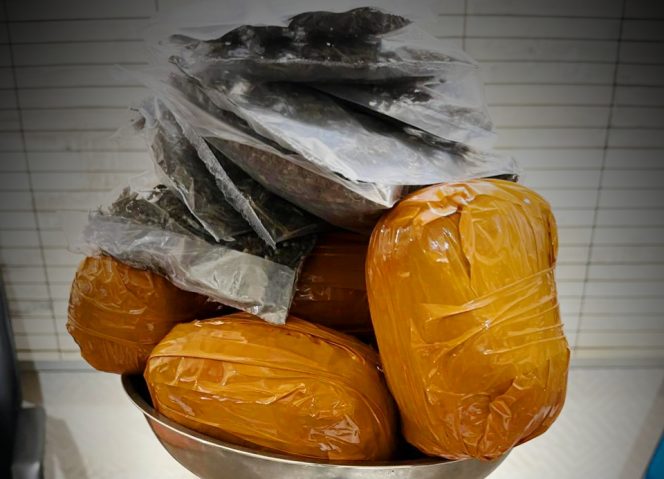
					Ganja seberat 1,5 kilogram milik JP, seorang warga Papua Nugini yang ditangkap di Perumnas III Waena Kota Jayapura. Foto: Humas Polresta Jayapura Kota.