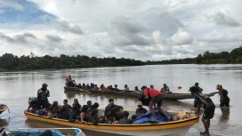 Sebanyak 44 penambang emas dievakuasi dari perbatasan Pegunungan Bintang dan Boven Digoel pasca serangan KKB. Foto: Humas Polda Papua.