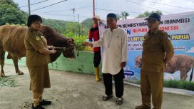 Penyerahan Sapi Roby dari Presiden Prabowo kepada Masjid Jami Al Fatah Abepantai, Kota Jayapura, Provinsi Papua. Foto: Faisal Narwawan