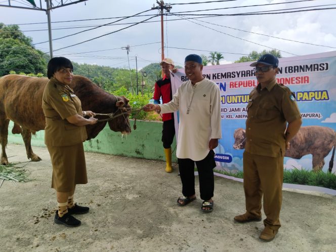 
					Penyerahan Sapi Roby dari Presiden Prabowo kepada Masjid Jami Al Fatah Abepantai, Kota Jayapura, Provinsi Papua. Foto: Faisal Narwawan