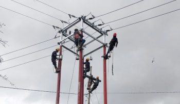 Petugas PLN di Papua Barat. Foto: PLN Papua