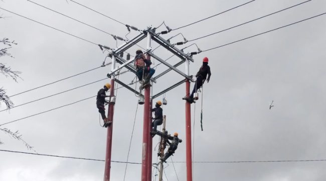 Petugas PLN di Papua Barat. Foto: PLN Papua