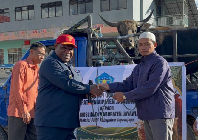 
					Bupati Jayawijaya, Atenius Murip  menyerahkan hewan kurban satu ekor sapi kepada Panitia Hari Besar Islam (PHBI) Jayawijaya. Foto : Kominfo Jayawijaya