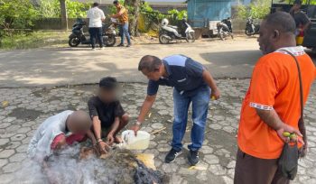 Polresta Jayapura Kota musnahkan ganja milik 2 WNA Papua Nugini. Foto: Humas Polresta Jayapura Kota 