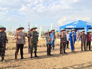 Kodaeral X Jayapura bersama Pemprov Papua, forkopimda, dan instansi terkait, melakukan penanaman kedelai seluas 20 hektare di Kabupaten Keerom. (Foto dok: IST)