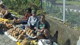 Mama pedagang Papua yang berjualan di sekitar  lokasi Rapat Kerja Kesehatan Daerah di Mulai, Puncak Jaya. Foto: Agis Pranoto/KabarPapua.co