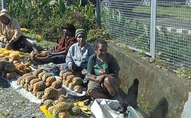 
					Mama pedagang Papua yang berjualan di sekitar  lokasi Rapat Kerja Kesehatan Daerah di Mulai, Puncak Jaya. Foto: Agis Pranoto/KabarPapua.co