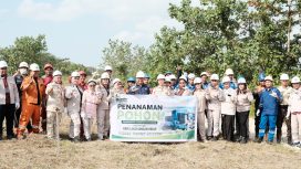 PLN IP UBP Holtekamp menanam pohon dalam rangka Hari Lingkungan Hidup Sedunia. Foto: PLN IP UBP Holtekamp
