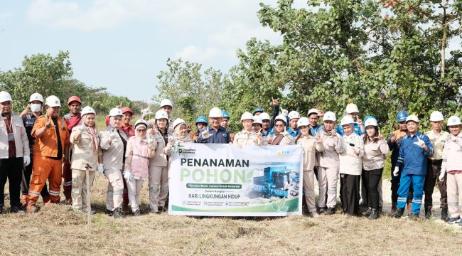 PLN IP UBP Holtekamp menanam pohon dalam rangka Hari Lingkungan Hidup Sedunia. Foto: PLN IP UBP Holtekamp
