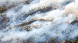 Ilustrasi kabut asap/ Foto: ge.com