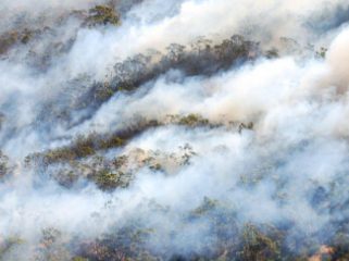 Ilustrasi kabut asap/ Foto: ge.com