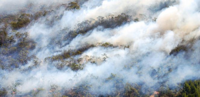 
					Ilustrasi kabut asap/ Foto: ge.com