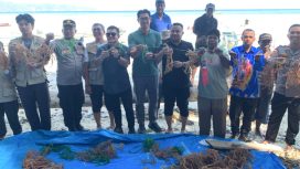 Festival Teluk Mioka 2026 di Kampung Sarwandori, Kabupaten Kepulauan Yapen, Provinsi Papua dilaksanakan Sabtu 22 Agustus 2026.   Foto: Ainun Faathirjal/KabarPapua.co
