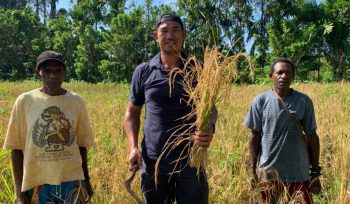 Anggota DPRK Kepulauan Yapen, Rian Hendrik, mengapresiasi inisiatif warga Kampung Sawenui, Distrik Raimbawi yang secara swadaya mengembangkan padi ladang. Foto: Ainun Faathirjal/KabarPapua.co