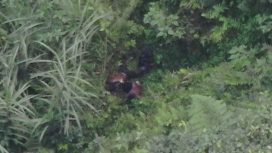 GW yang diduga tertembak dalam operasi penegakan hukum. Foto: Satgas ODC