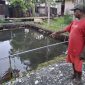 Ketua Kelompok Pembudidaya Ikan (Pokdakan) Tindafai di Kampung Ketuapi, Distrik Anotaurei, Kepulauan Yapen, Yehuda Wayangkau saat memperlihatkan ikan di dalam kolam miliknya. (KabarPapua.co/Ainun Faathirjal)
