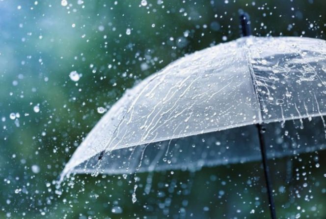 
					Ilustrasi hujan. Foto: Getty Images/iStockphoto
