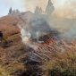 Kebakaran hutan di pegunungan sekitar Distrik Wadangku Kabupaten Jayawijaya. Foto: ist