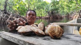 Mama Linda Hanasbey, 35 tahun sedang mencari Nor (kerang) di Hutan Perempuan atau Tonotwiyat. (Foto: Katharina Lita/KabarPapua.co)