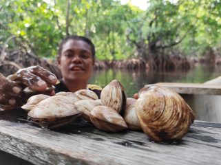 Mama Linda Hanasbey, 35 tahun sedang mencari Nor (kerang) di Hutan Perempuan atau Tonotwiyat. (Foto: Katharina Lita/KabarPapua.co)