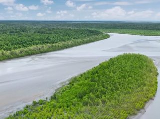 Sungai Ajkwa Mimika. Foto: PTFI