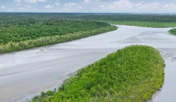 Sungai Ajkwa Mimika. Foto: PTFI