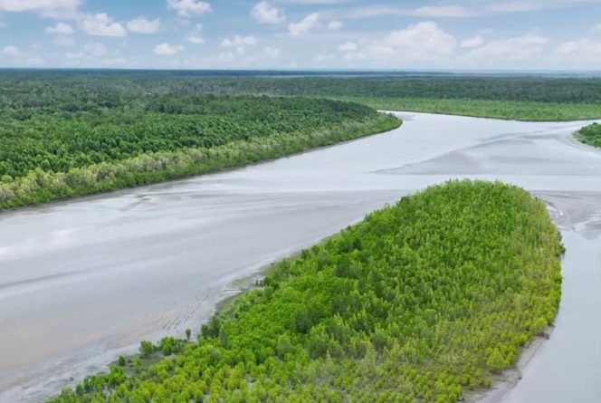 
					Sungai Ajkwa Mimika. Foto: PTFI
