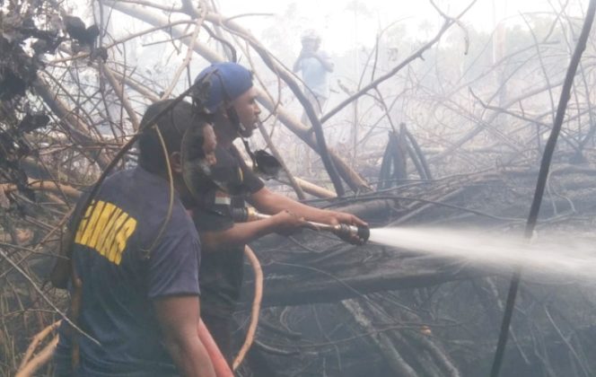 
					Personil BPBD dan Dinas pemadam kebakaran Kabupaten Kaimana saat berupaya memadamkan api. (Foto dok: IST)