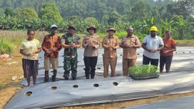 Wakil Bupati Kepulauan Yapen Roi Palunga saat mencanangkan penanaman 15.000 bibit cabai di Kampung Ariepi 2, Distrik Kosiwo. (Foto dok: Humas Pemkab Kepulauan Yapen)