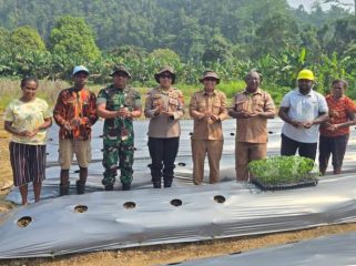 Wakil Bupati Kepulauan Yapen Roi Palunga saat mencanangkan penanaman 15.000 bibit cabai di Kampung Ariepi 2, Distrik Kosiwo. (Foto dok: Humas Pemkab Kepulauan Yapen)