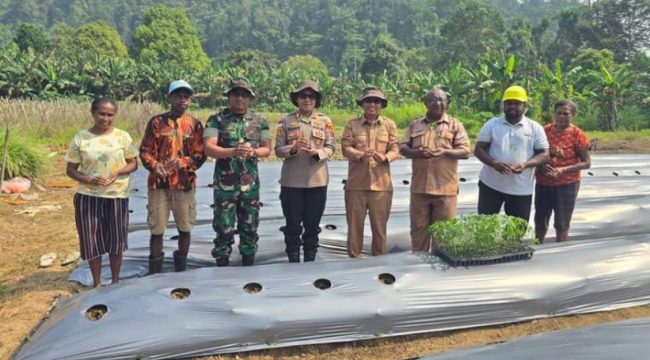 Wakil Bupati Kepulauan Yapen Roi Palunga saat mencanangkan penanaman 15.000 bibit cabai di Kampung Ariepi 2, Distrik Kosiwo. (Foto dok: Humas Pemkab Kepulauan Yapen)