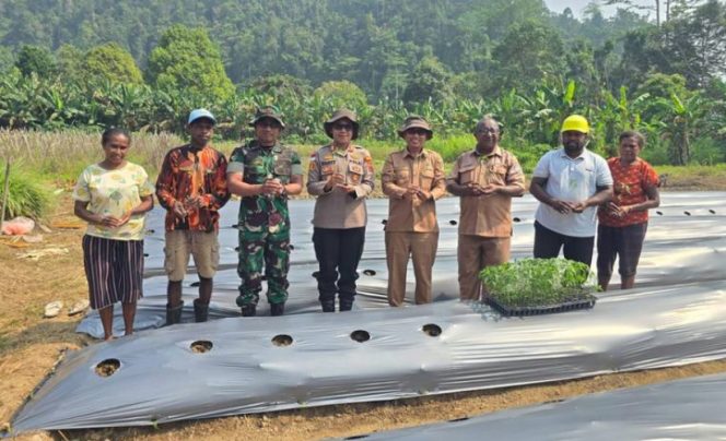 
					Wakil Bupati Kepulauan Yapen Roi Palunga saat mencanangkan penanaman 15.000 bibit cabai di Kampung Ariepi 2, Distrik Kosiwo. (Foto dok: Humas Pemkab Kepulauan Yapen)