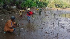 Dandim 1709 Yawa Letkol Inf Ahmad Albar bersama unsur terkait dan masyarakat menanam pohon di Kampung Turu, Yapen Selatan. (Foto: IST)