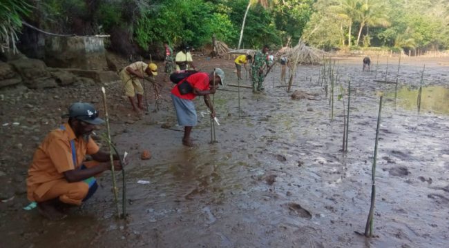 Dandim 1709 Yawa Letkol Inf Ahmad Albar bersama unsur terkait dan masyarakat menanam pohon di Kampung Turu, Yapen Selatan. (Foto: IST)