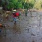 Dandim 1709 Yawa Letkol Inf Ahmad Albar bersama unsur terkait dan masyarakat menanam pohon di Kampung Turu, Yapen Selatan. (Foto: IST)