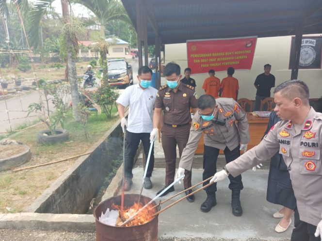 
					Polres Nabire musnahkan ganja asal Jayapura. Foto: Agis Pranoto/KabarPapua.co