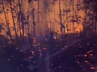 Tangkapan layar dari unggahan video kebakaran di papua oleh akun @aarffsputraaaa di tiktok. Foto: tt/aarffsputraaaa